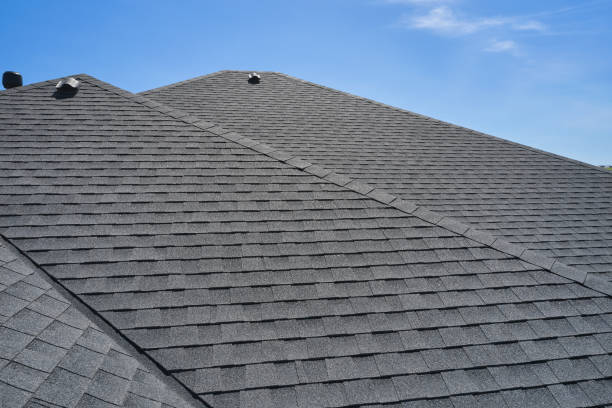 Professional Roofing service in Sisco Heights, WA